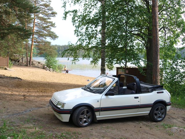 Beach Pugi.JPG