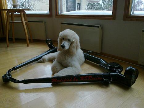 Rear tube and Samu 2.JPG