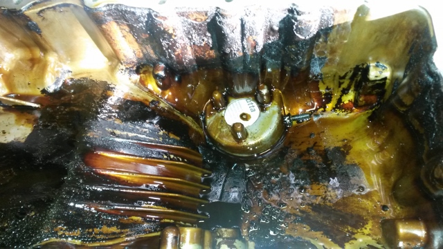 20150423_181701 (640x360).jpg