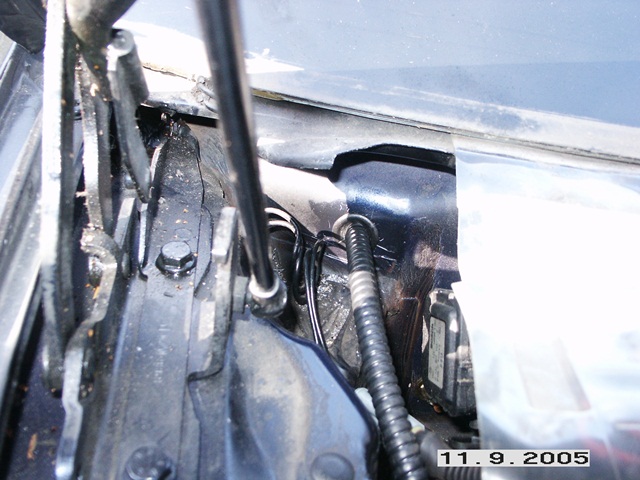 PICT0005_1.jpg