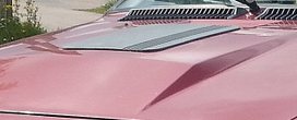 Haku29072016.jpg