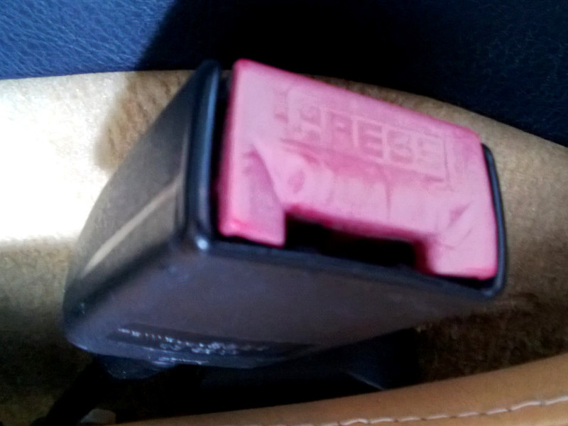 Seatbelt.jpg