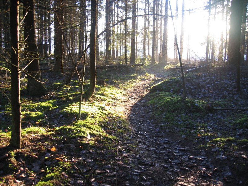 tapaninlenkki_2008_004.jpg
