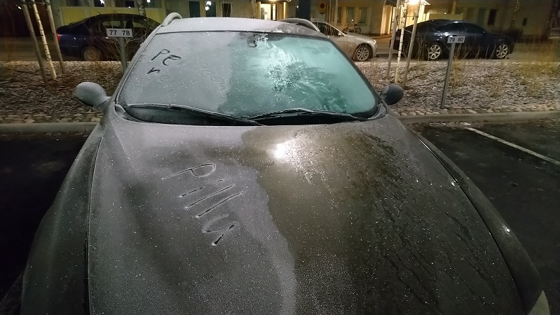 terkut työpaikan pihalla.jpg
