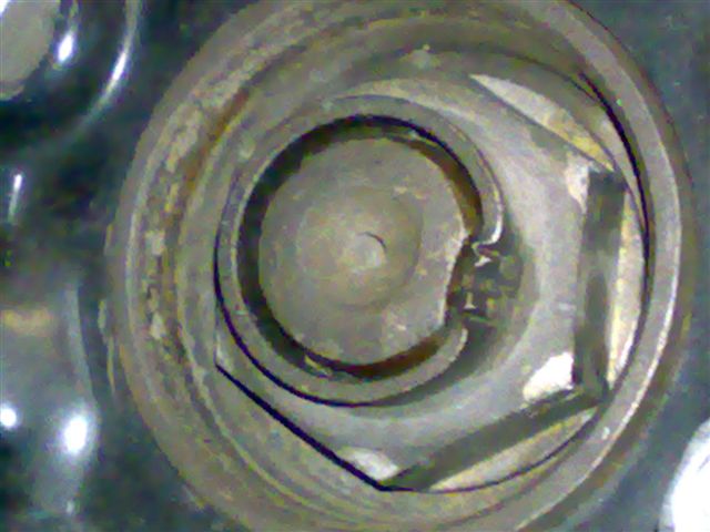 31102011389.jpg