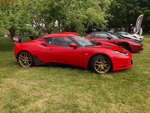 Lot_of_Lotuses.jpg