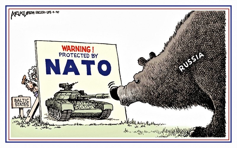 bear.jpg