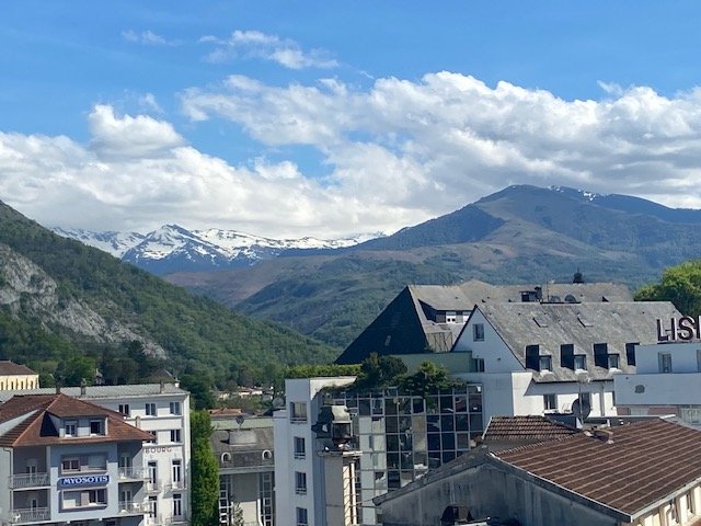 Pyreneet.jpg