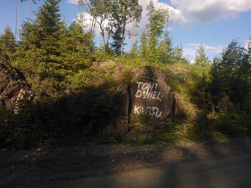 Kivi