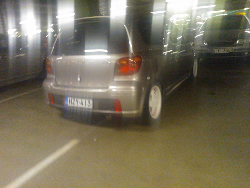 varis.jpg