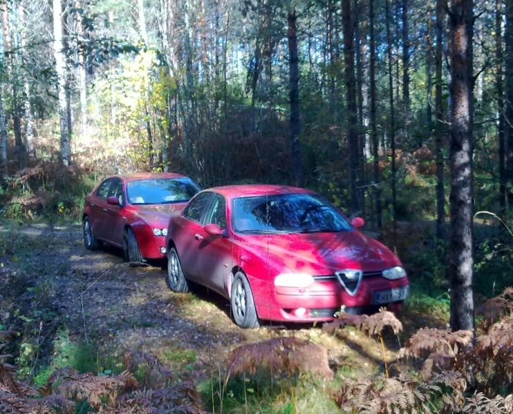 pic_of_my_cars.JPG