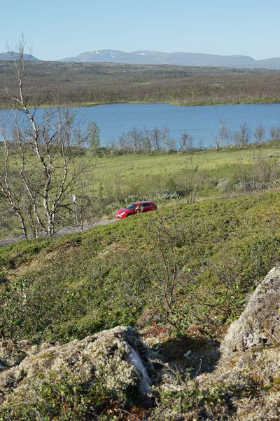 Alfan maastoväritys toiminee paremmin ruska-aikaan