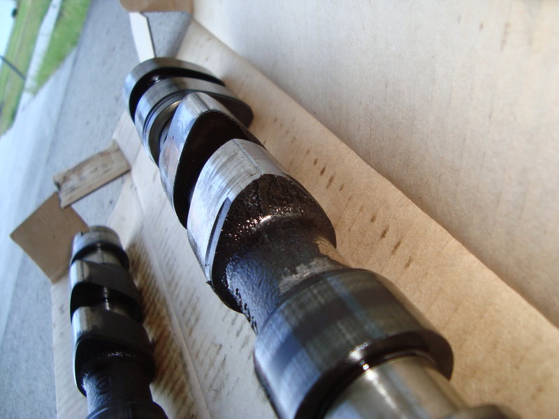 rsz_dsc08561.jpg